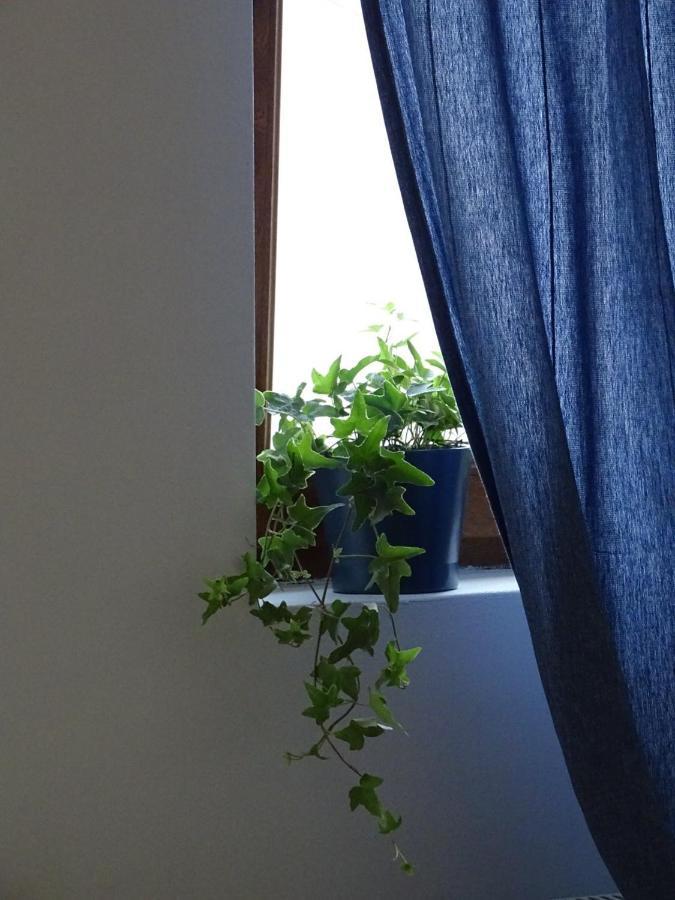 Blue Apartment 贝尔格莱德 外观 照片