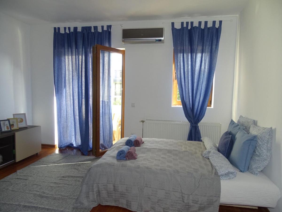 Blue Apartment 贝尔格莱德 外观 照片