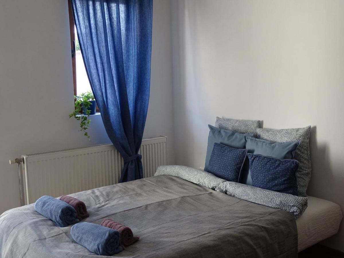 Blue Apartment 贝尔格莱德 外观 照片