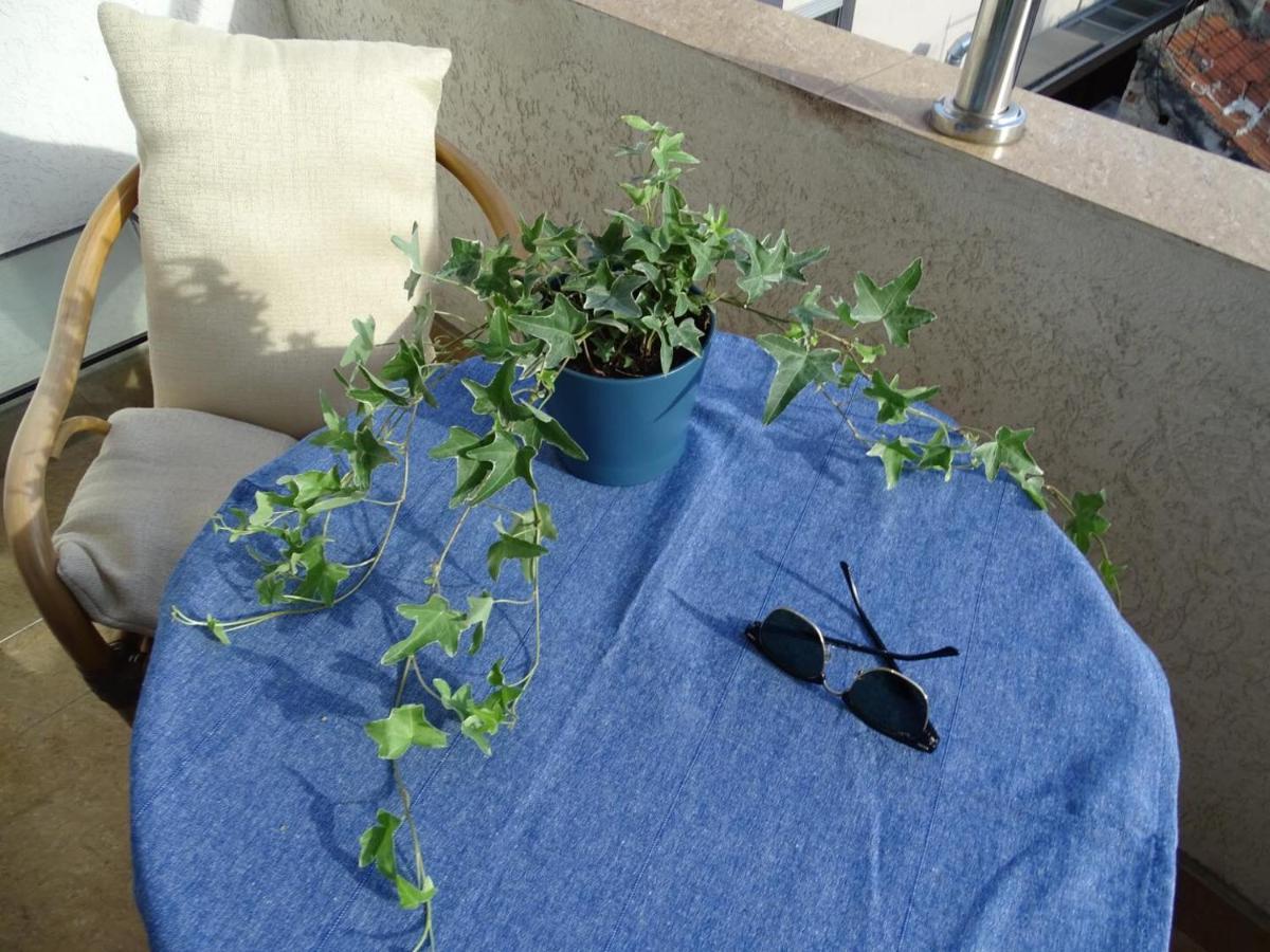 Blue Apartment 贝尔格莱德 外观 照片
