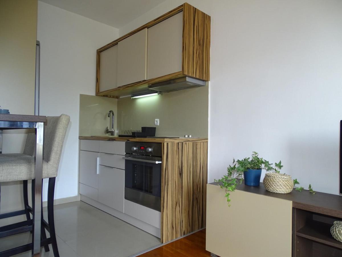 Blue Apartment 贝尔格莱德 外观 照片